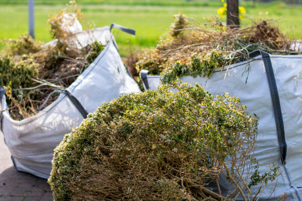 Best Estate Cleanout Services  in West Point, MS